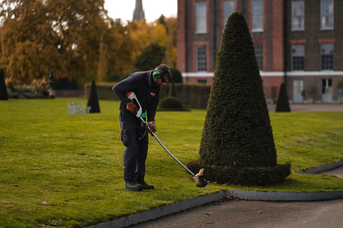 Landscaper trimming hedges on a manicured lawn